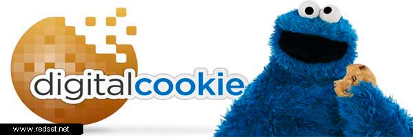 Las cookies de Internet